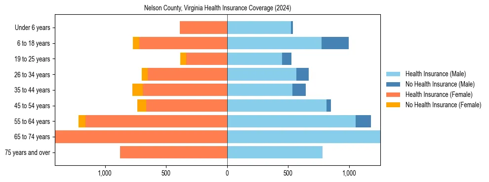 Health insurance pyramid for Nelson County, Virginia