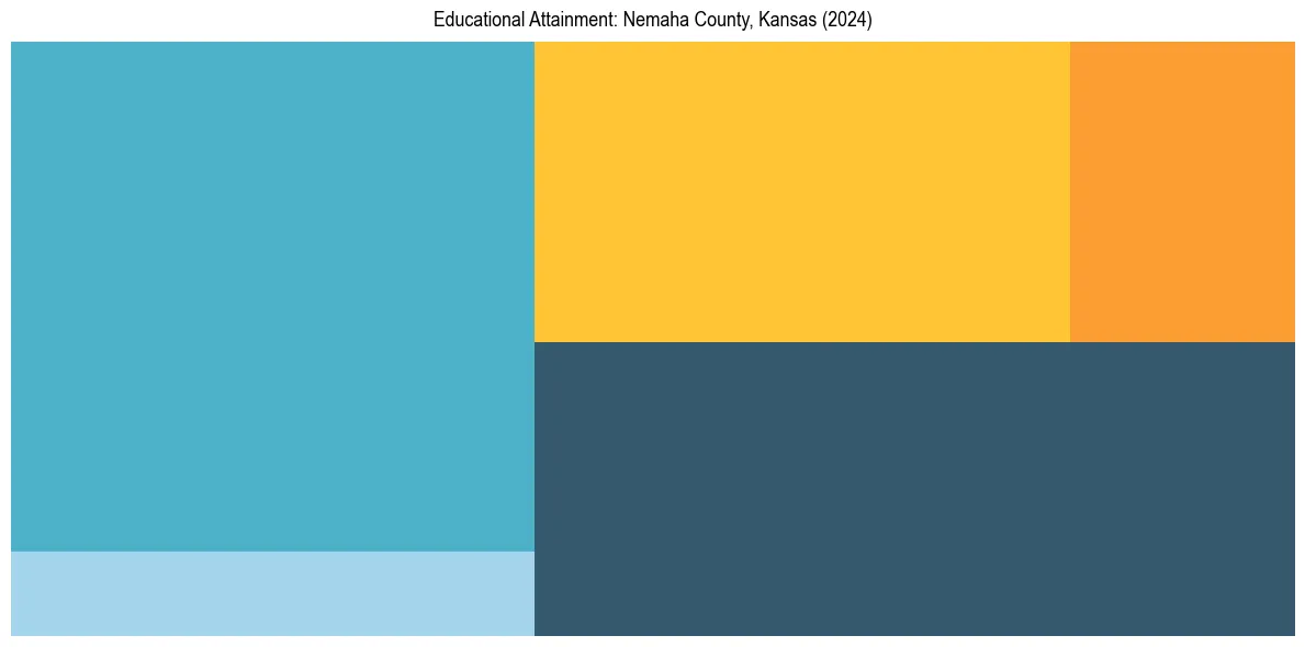 Education Treemap for  in 2024