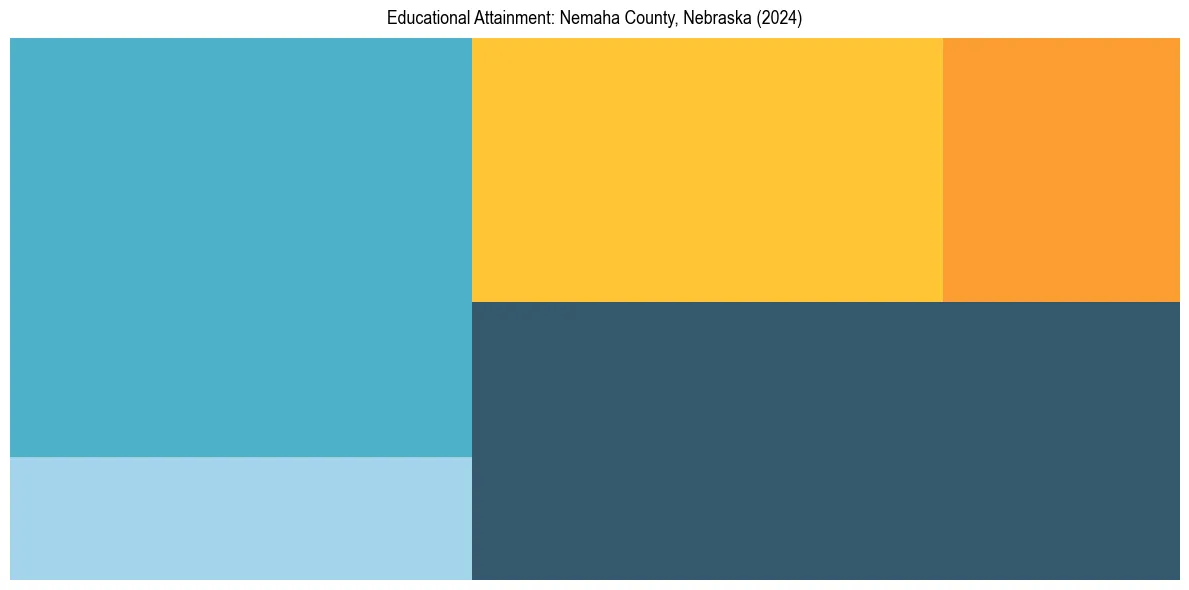 Education Treemap for  in 2024