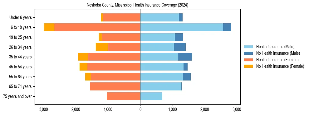Health insurance pyramid for Neshoba County, Mississippi