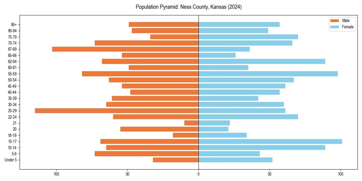 Population pyramid for 