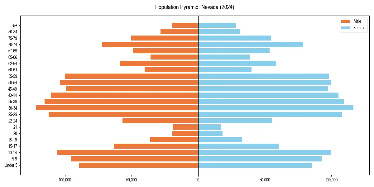 Population pyramid for 