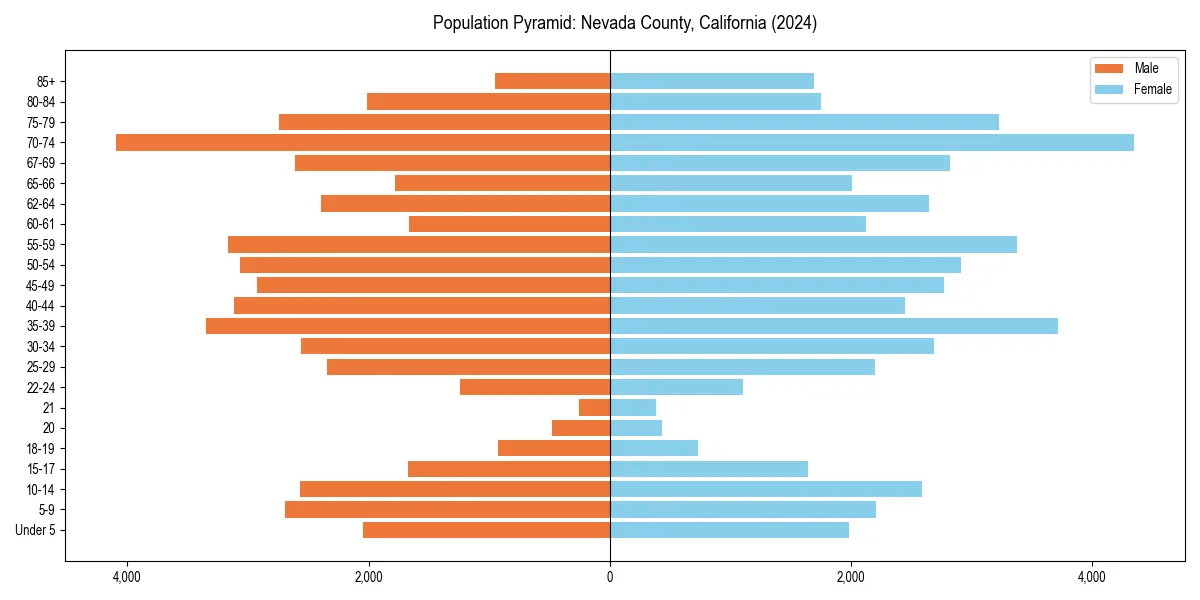 Population pyramid for 