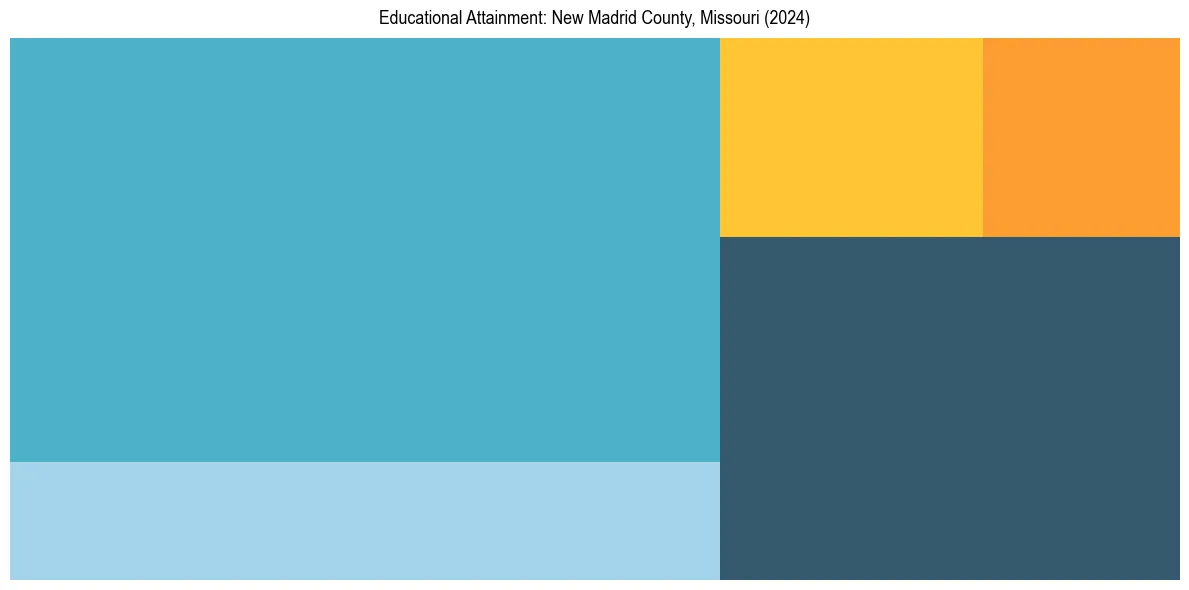 Education Treemap for  in 2024