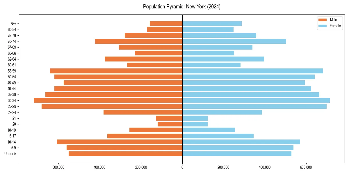 Population pyramid for 