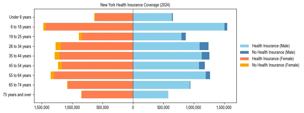 Health insurance pyramid for New York