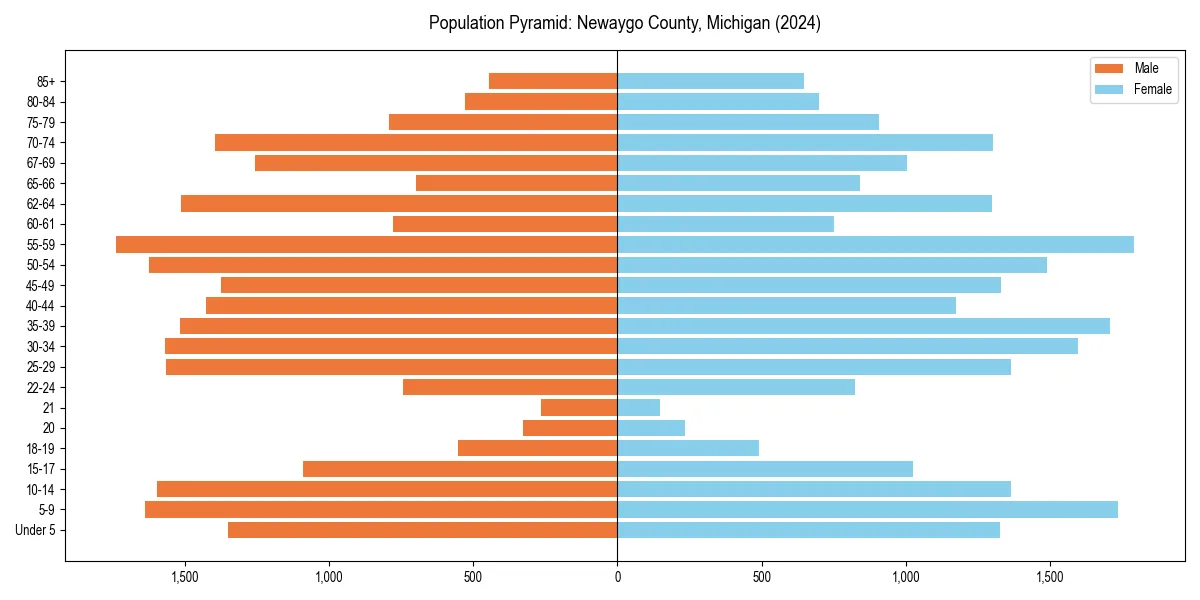 Population pyramid for 