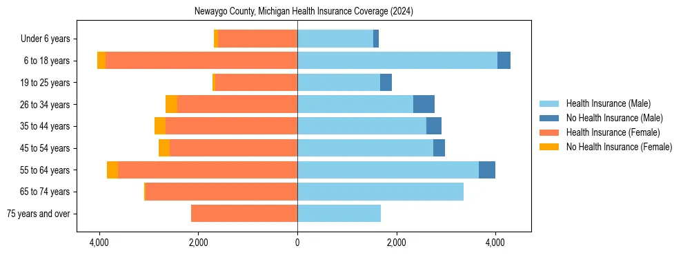 Health insurance pyramid for Newaygo County, Michigan