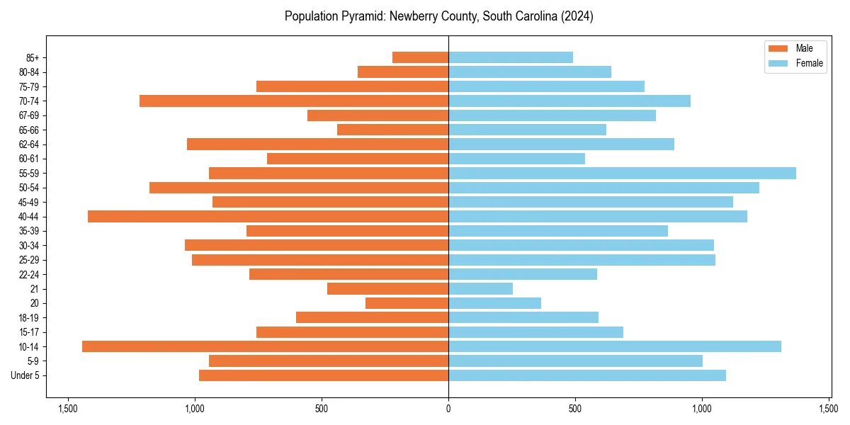 Population pyramid for 