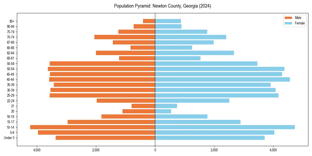 Population pyramid for 