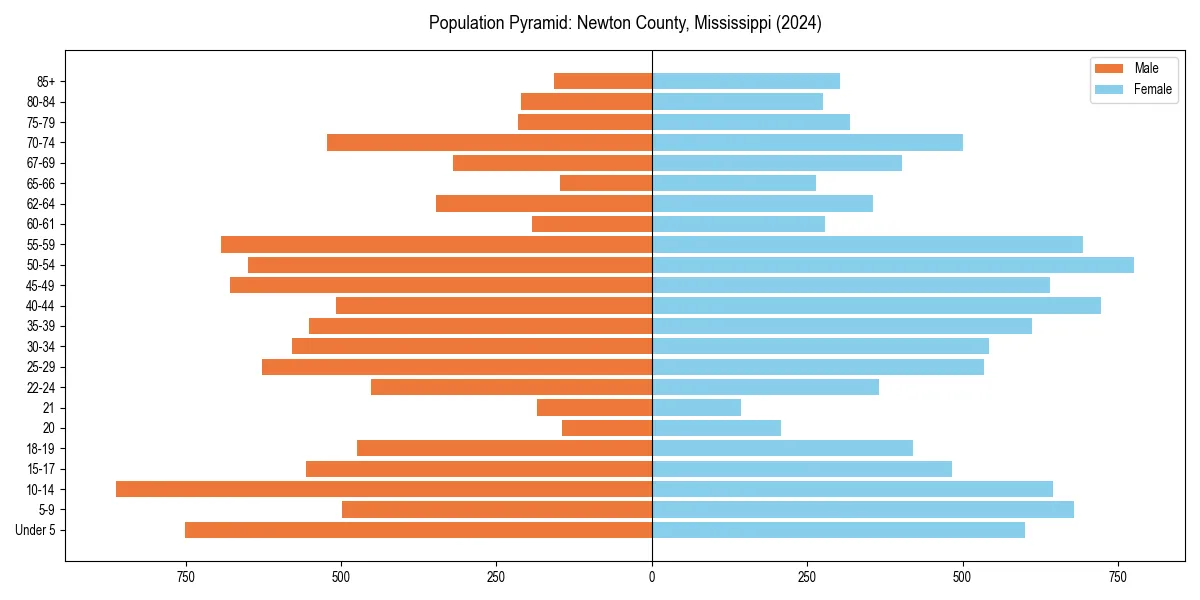 Population pyramid for 