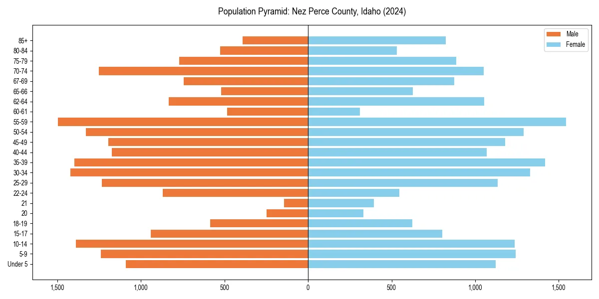 Population pyramid for 