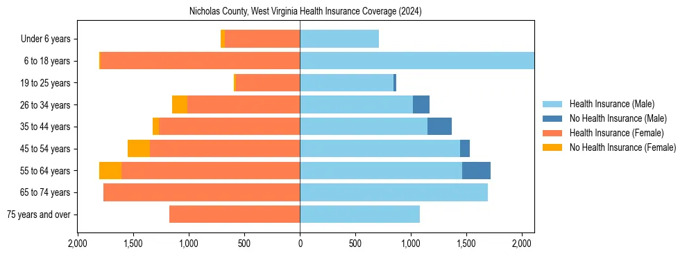 Health insurance pyramid for Nicholas County, West Virginia