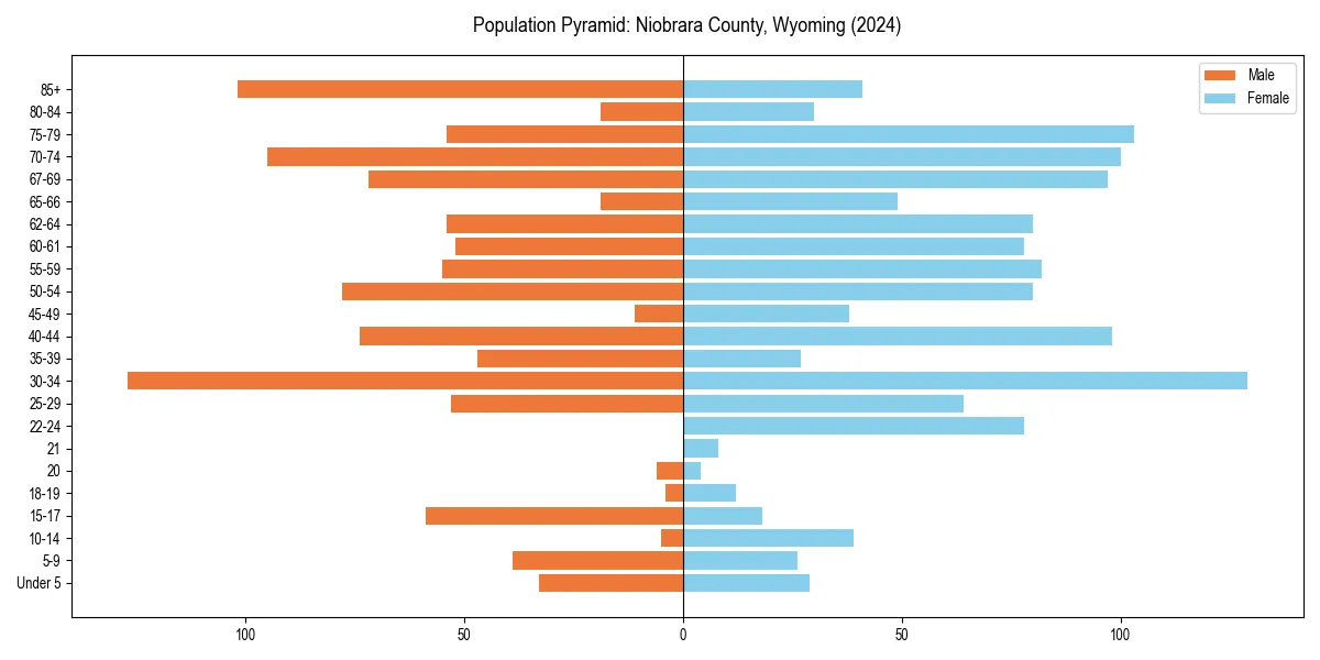 Population pyramid for 