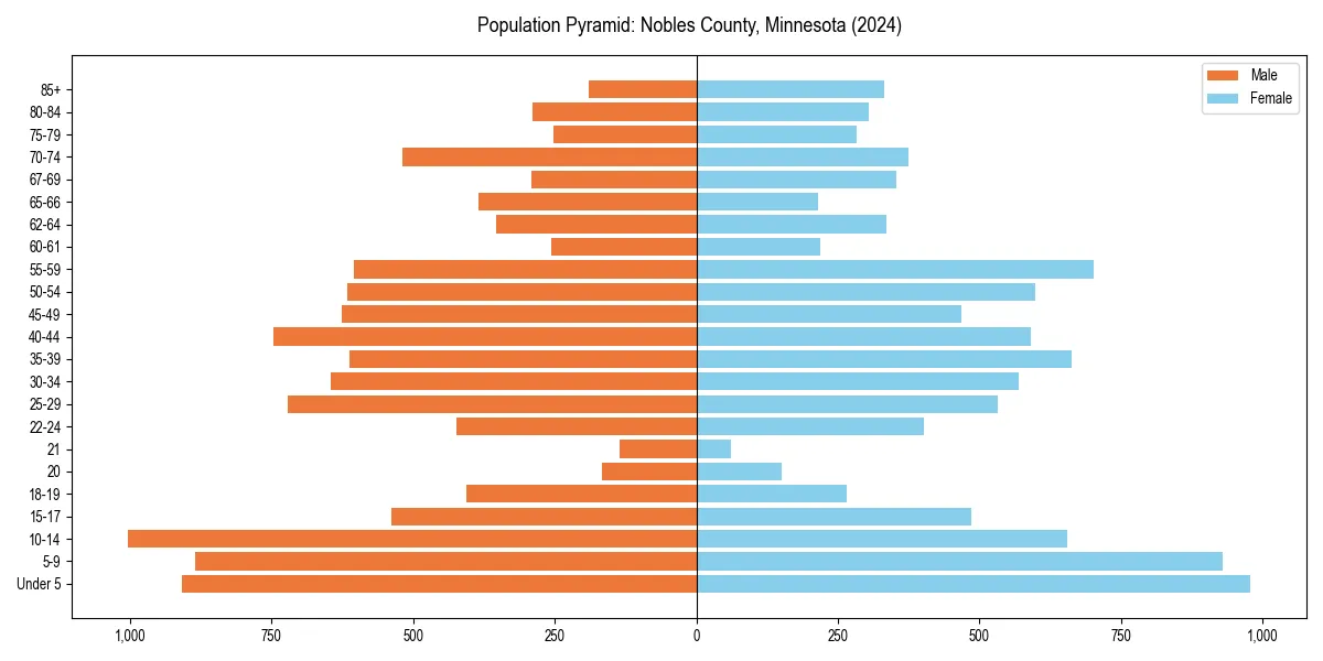Population pyramid for 
