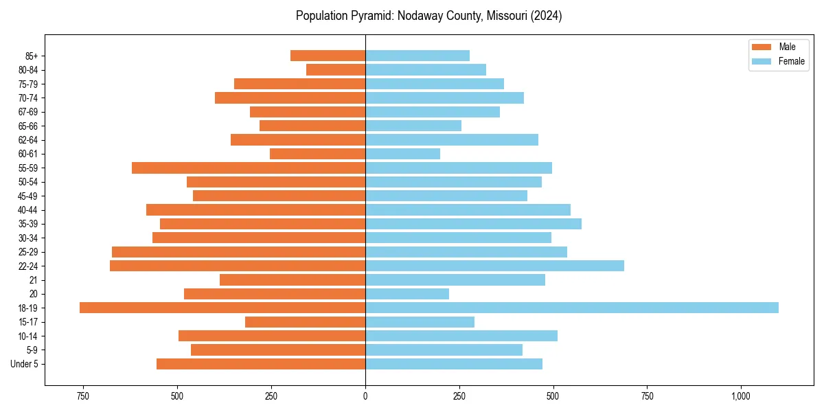 Population pyramid for 