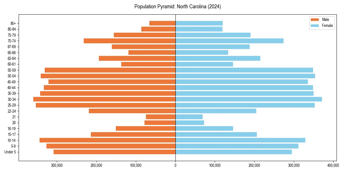 Population pyramid for 