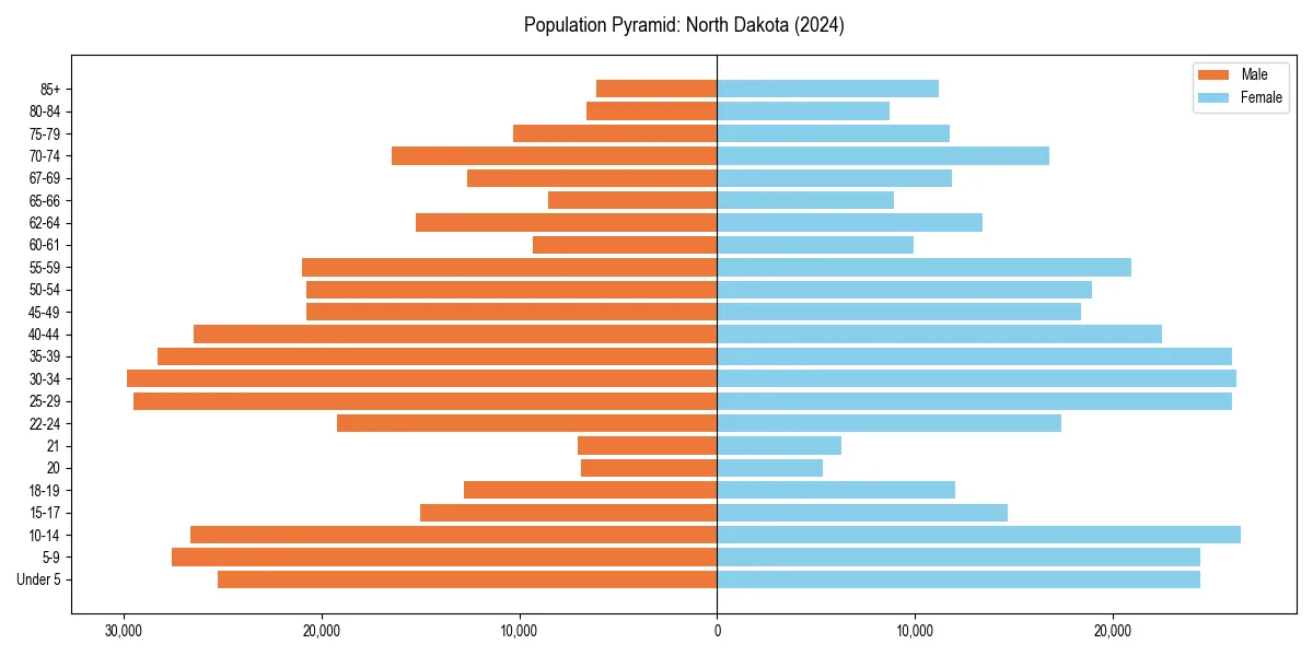 Population pyramid for 