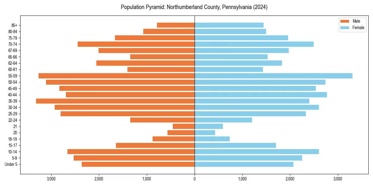 Population pyramid for 