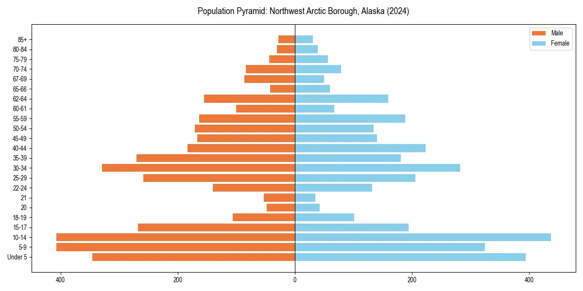 Population pyramid for 