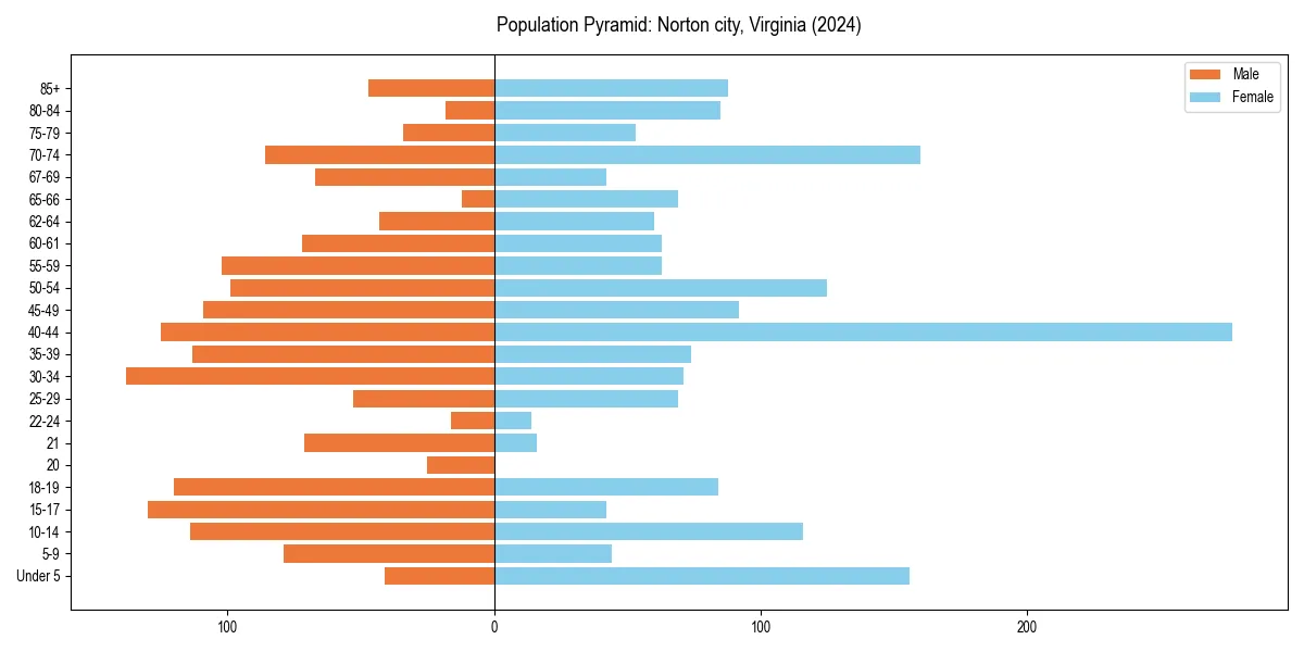 Population pyramid for 