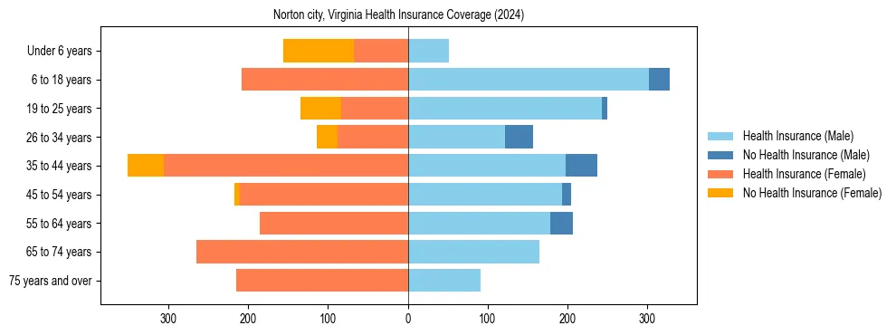 Health insurance pyramid for Norton city, Virginia