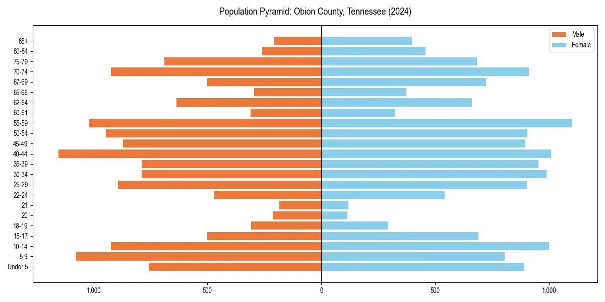 Population pyramid for 