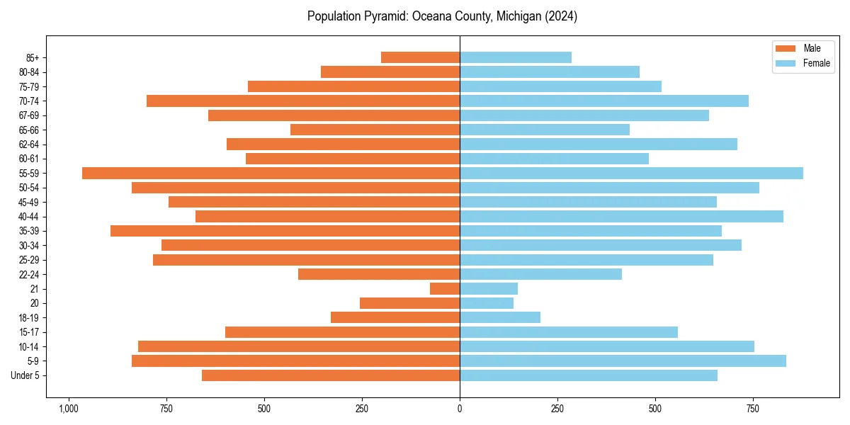 Population pyramid for 