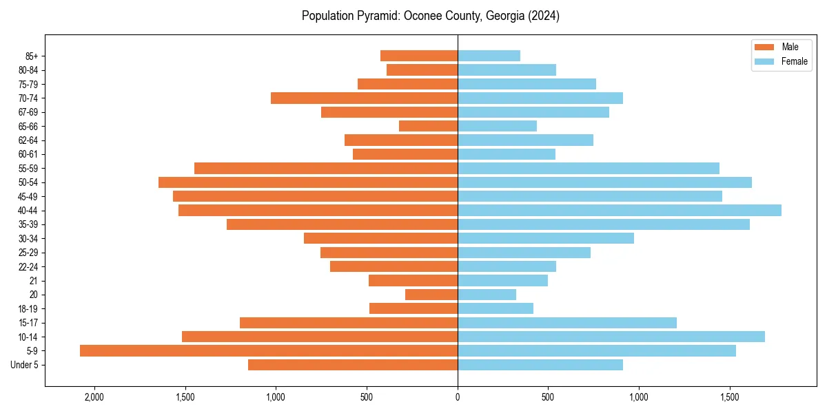 Population pyramid for 