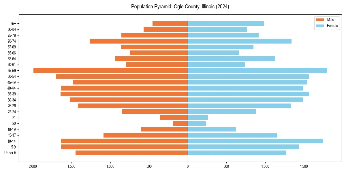 Population pyramid for 