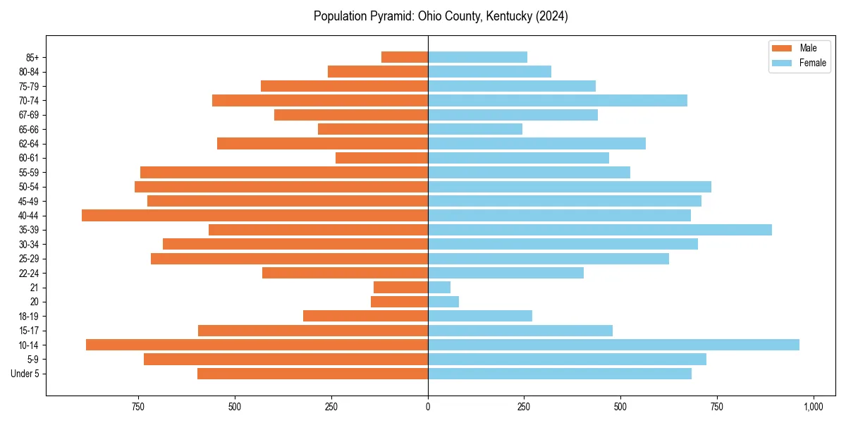 Population pyramid for 