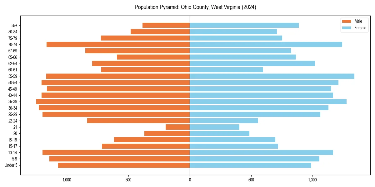 Population pyramid for 