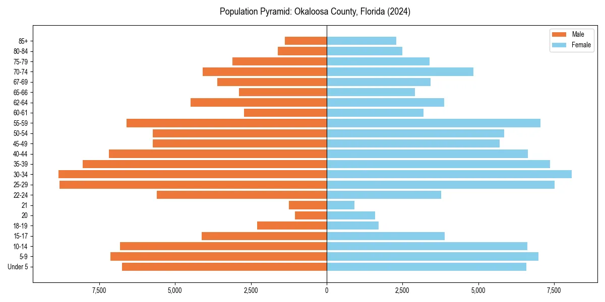 Population pyramid for 