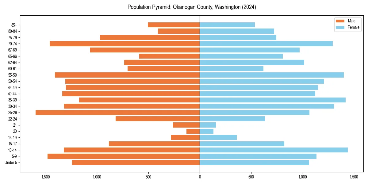Population pyramid for 