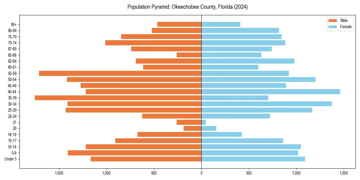 Population pyramid for 