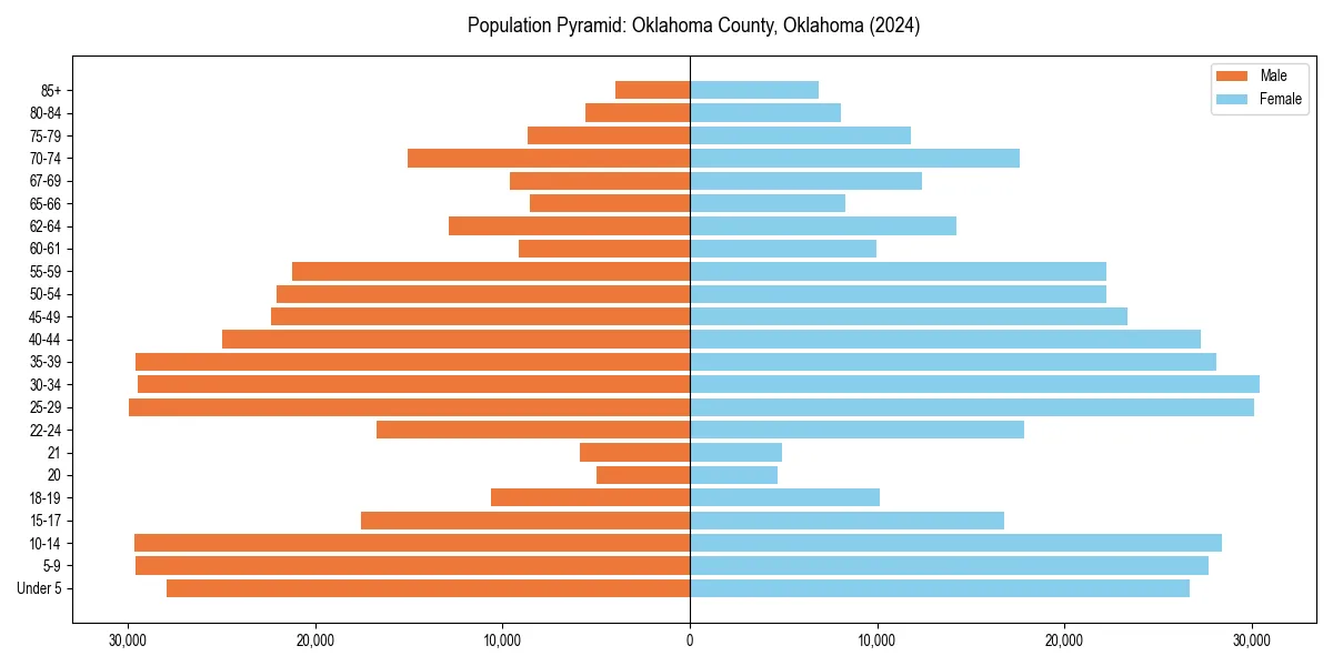 Population pyramid for 