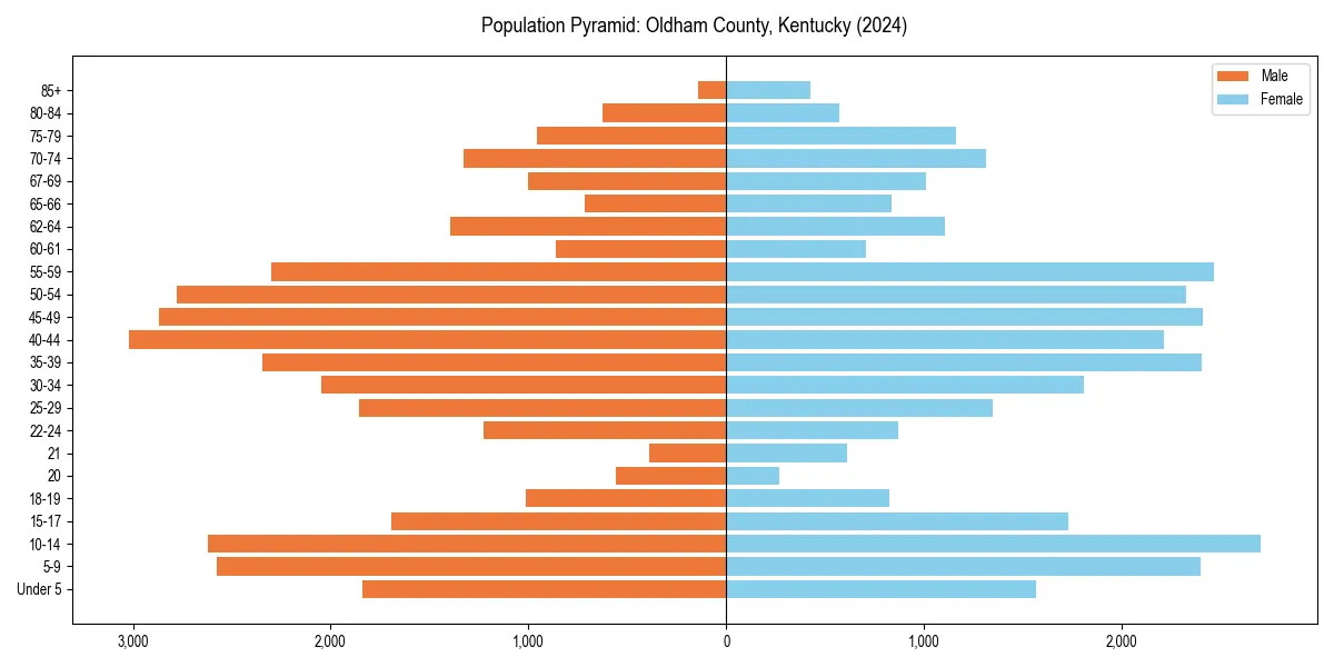 Population pyramid for 