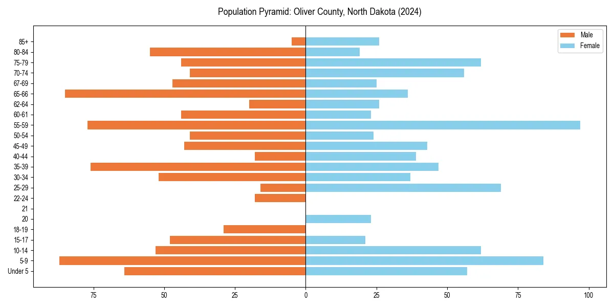 Population pyramid for 