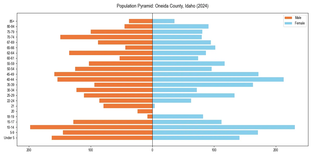 Population pyramid for 