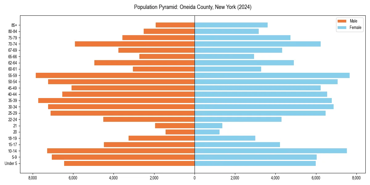 Population pyramid for 