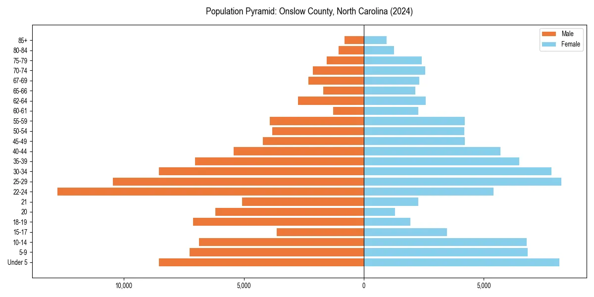 Population pyramid for 
