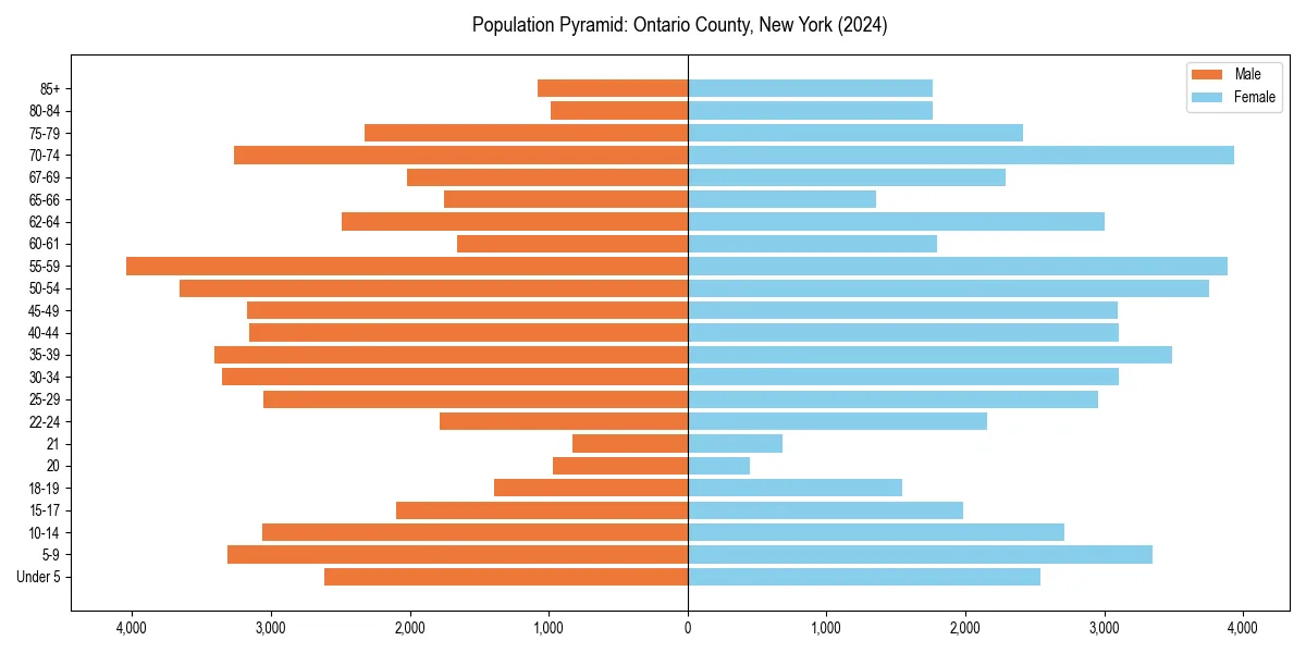Population pyramid for 