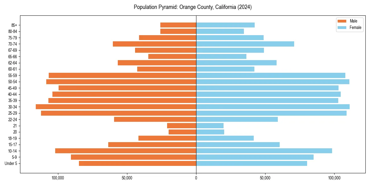 Population pyramid for 