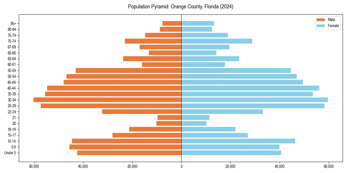 Population pyramid for 