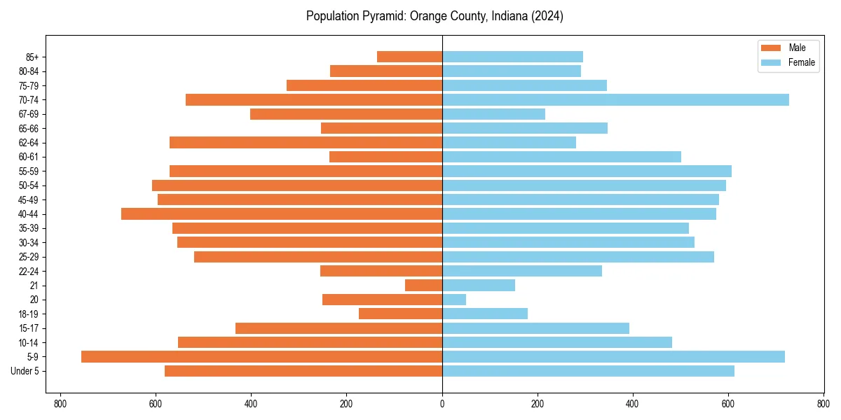 Population pyramid for 