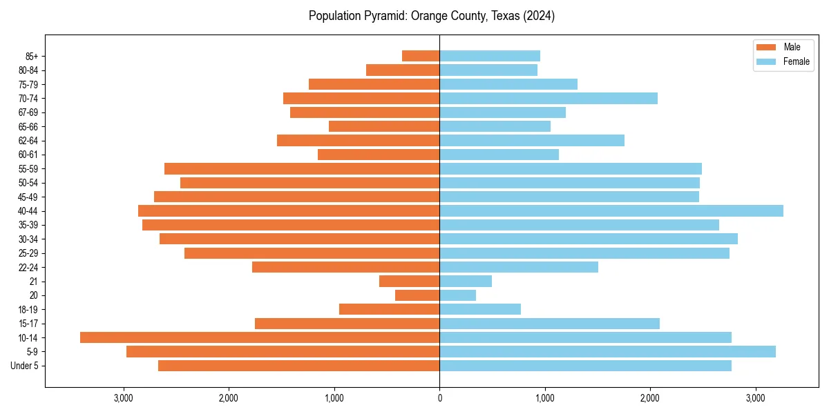 Population pyramid for 