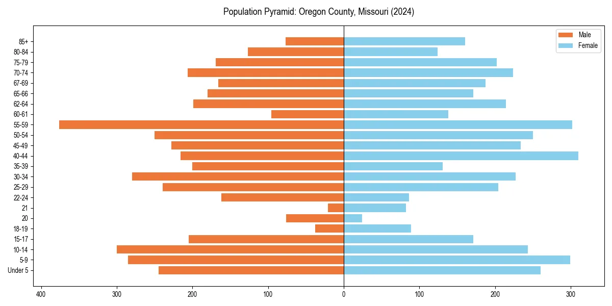 Population pyramid for 