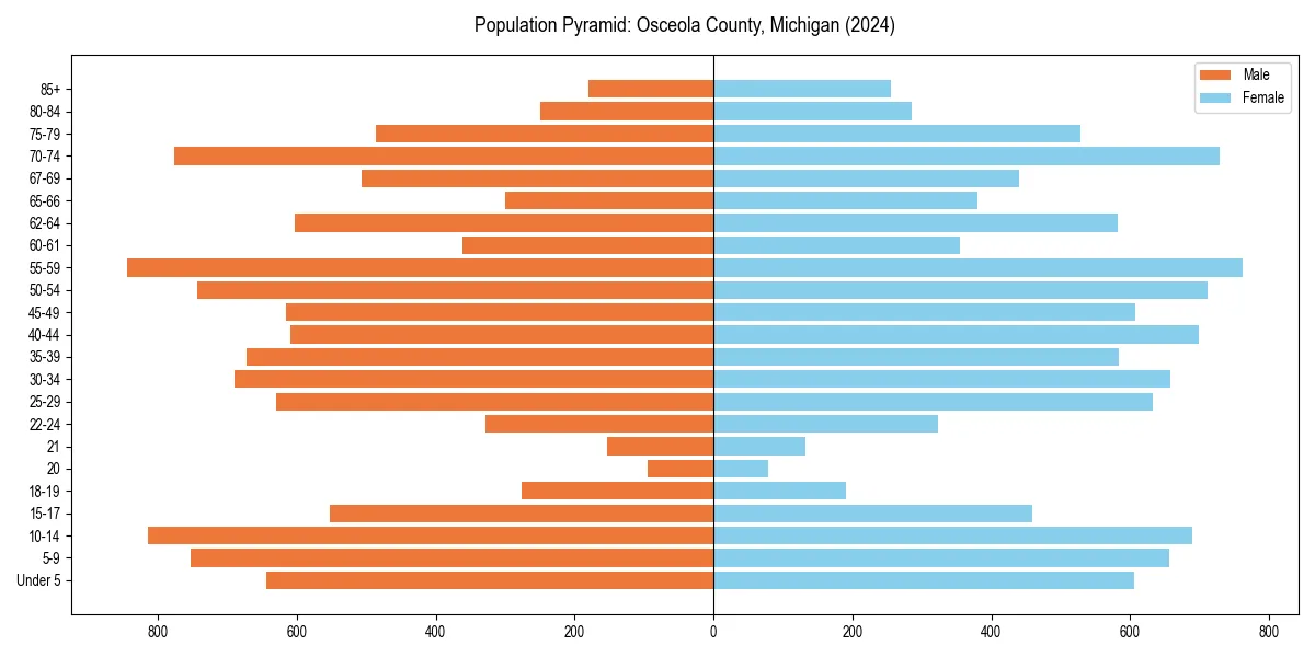 Population pyramid for 