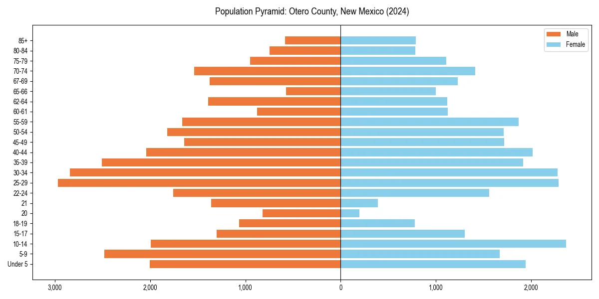 Population pyramid for 