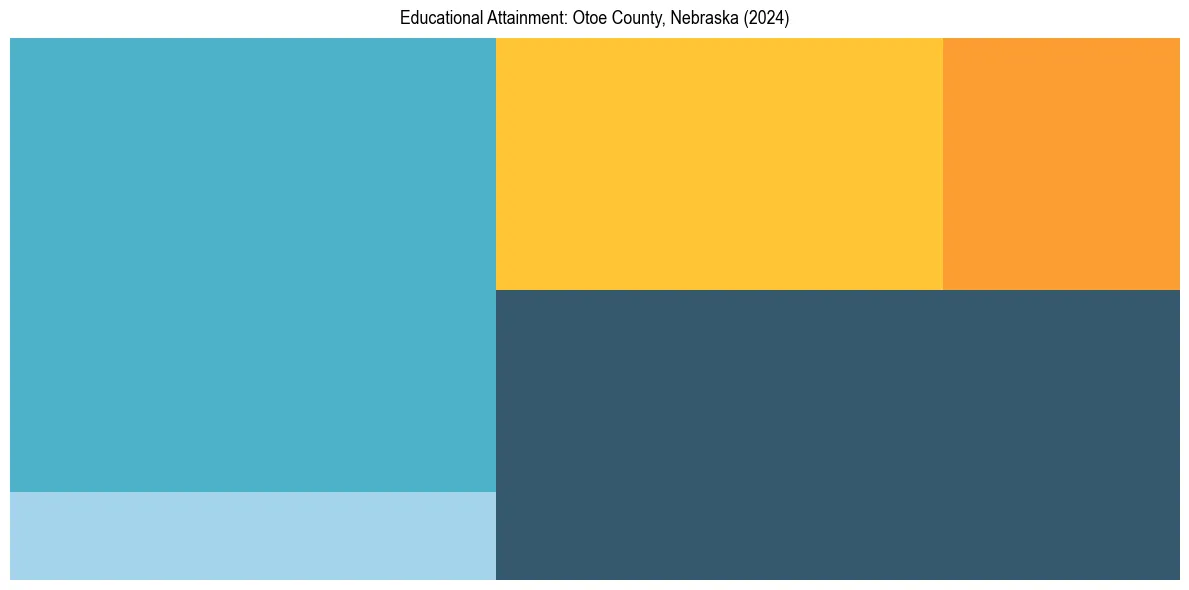 Education Treemap for  in 2024